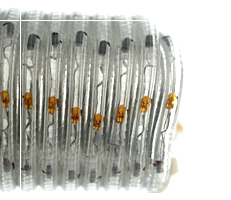 Bi-Color Chameleon rope light